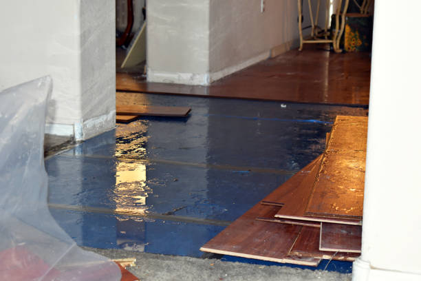 Professional Burst Pipe Cleanup technician working in Astoria, OR